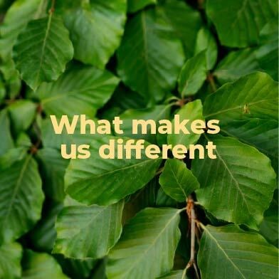 WhatMakesUsDifferent