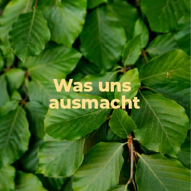 WasUnsAusmacht